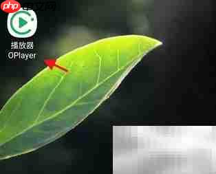 OPlayer画面方向自动感应设置