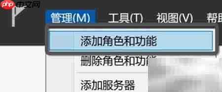 Windows Server安装.NET指南