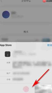 一言会员购买指南