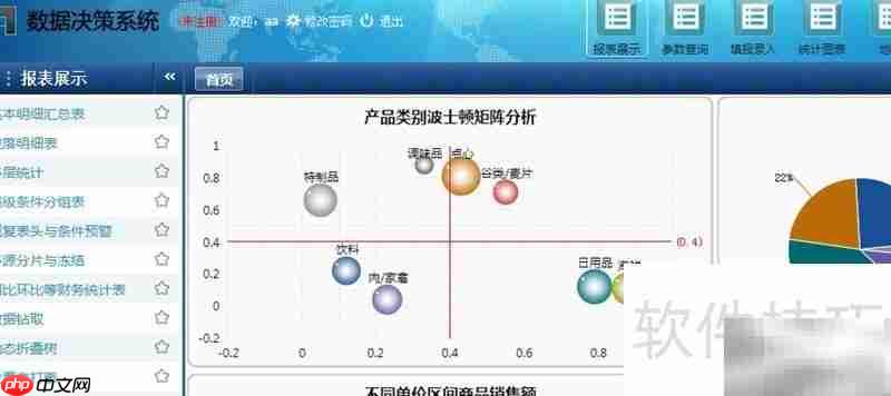 Web报表管理平台开发