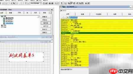 VF6.0表单控件属性设置