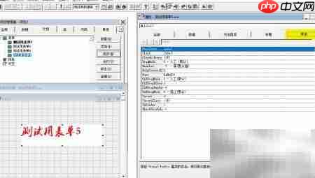 VF6.0表单控件属性设置