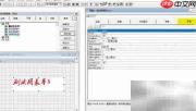 VF6.0表单控件属性设置