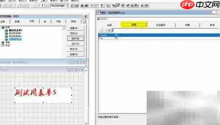 VF6.0表单控件属性设置