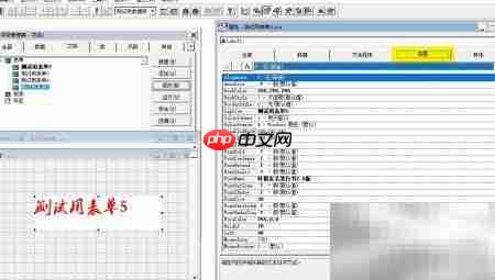 VF6.0表单控件属性设置
