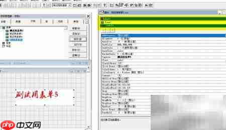 VF6.0表单控件属性设置