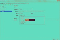 SAP BW数据分析BI短标题