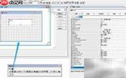 vf6.0表单控件数据源设置