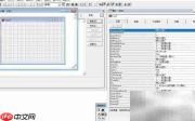 vf6.0表单控件数据源设置