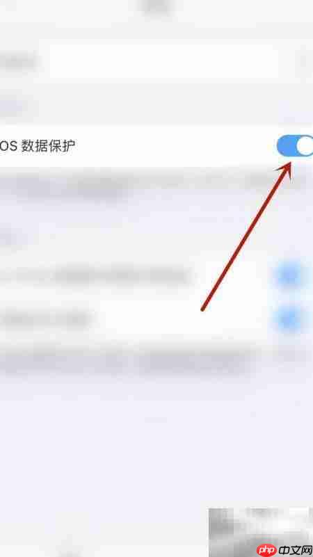PDF Expert iOS数据保护开启指南