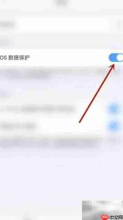 PDF Expert iOS数据保护开启指南