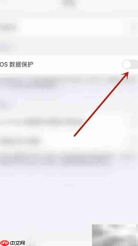 PDF Expert iOS数据保护开启指南