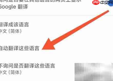 星愿浏览器自动翻译设置教程