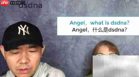 dsdna是什么意思