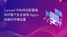 Laravel 中如何在配置缓存环境下安全使用 Nginx 传递的环境变量
