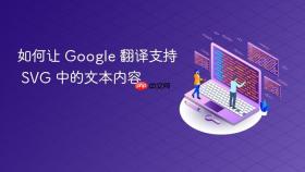 如何让 Google 翻译支持 SVG 中的文本内容