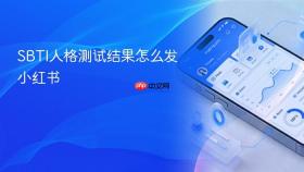 SBTI人格测试结果怎么发小红书