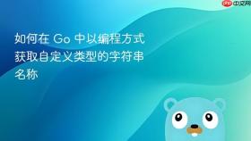 如何在 Go 中以编程方式获取自定义类型的字符串名称