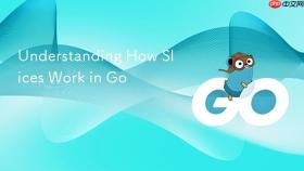 Understanding How Slices Work in Go
