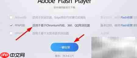 Flash大厅安装PPAPI播放器指南