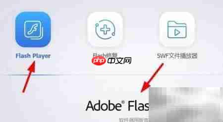 Flash大厅安装PPAPI播放器指南