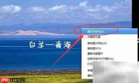 QQ相册照片批量下载方法