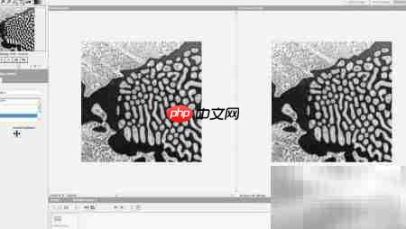 灰度形态学分析