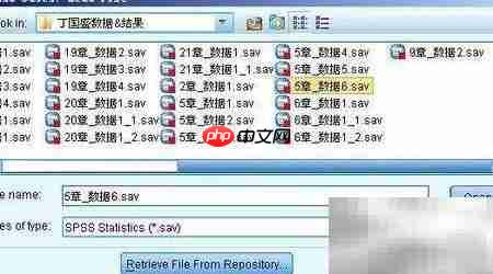 SPSS合并数据文件方法
