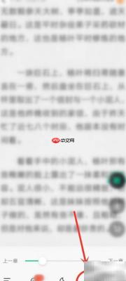 爱奇艺小说自动阅读设置方法