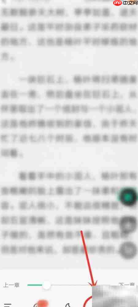 爱奇艺小说自动阅读设置方法