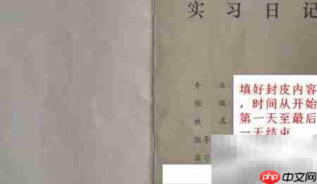 实习日记写作技巧与范例