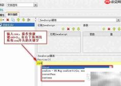 JS使用说明:报表开发