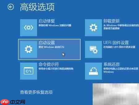 Win10专业版显示设置错误