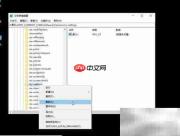 Win10专业版显示设置错误