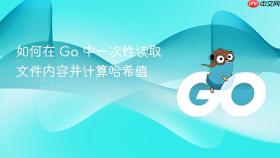 如何在 Go 中一次性读取文件内容并计算哈希值