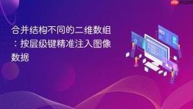 合并结构不同的二维数组：按层级键精准注入图像数据