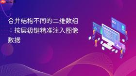 合并结构不同的二维数组:按层级键精准注入图像数据