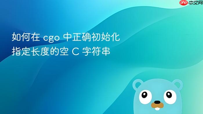 如何在 cgo 中正确初始化指定长度的空 C 字符串