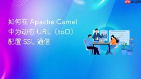 如何在 Apache Camel 中为动态 URL(toD)配置 SSL 通信