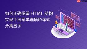 如何正确保留 HTML 结构实现下拉菜单选项的样式分离显示