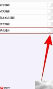孕妇食谱:关闭系统通知技巧