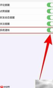 孕妇食谱:关闭系统通知技巧