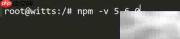 Debian安装Node.js简易教程