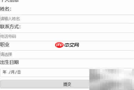 CSS设置表单控件样式技巧