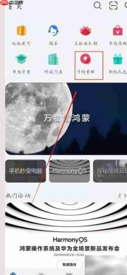 华为P30 Pro升级HarmonyOS 2.0指南
