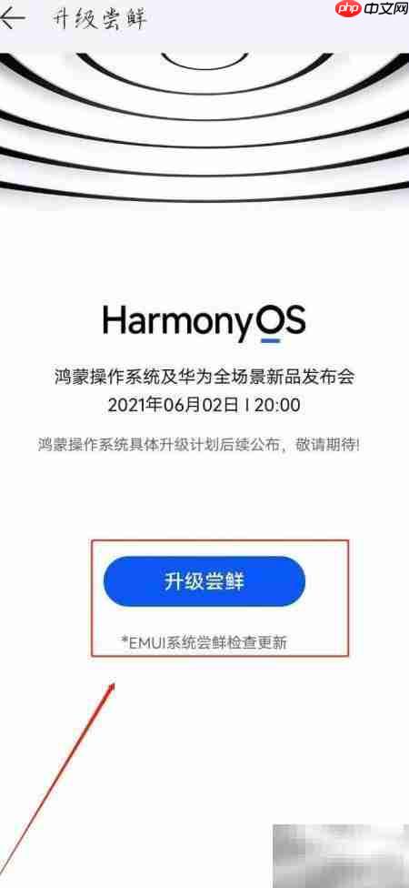 华为P30 Pro升级HarmonyOS 2.0指南