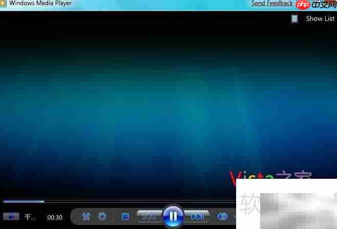 Win7 WMP自动调节比特率技巧