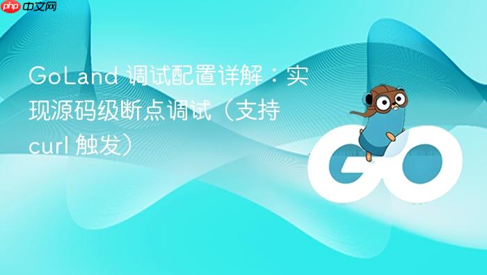 GoLand 调试配置详解：实现源码级断点调试（支持 curl 触发）
