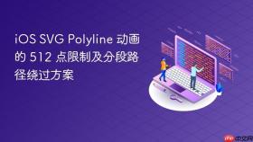 iOS SVG Polyline 动画的 512 点限制及分段路径绕过方案