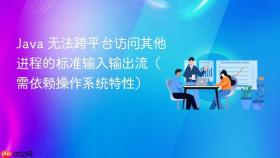 Java 无法跨平台访问其他进程的标准输入输出流(需依赖操作系统特性)